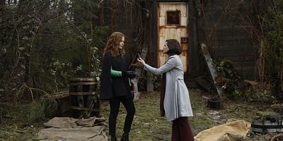 Pôster de Where Bluebirds Fly