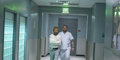 Pôster de Shadow Hawk Takes Flight