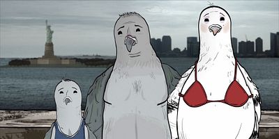 Pôster de Pigeons (1)