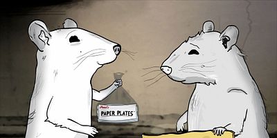 Pôster de Pigeons (2)