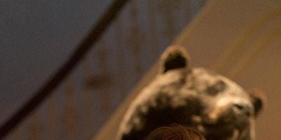 Pôster de The Law of Inevitability