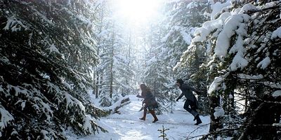 Pôster de Steel Bars and Stone Walls