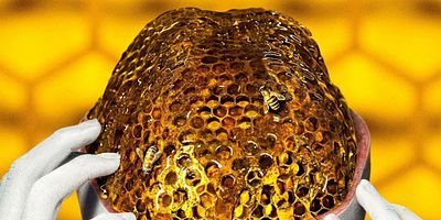 Pôster de Great Again