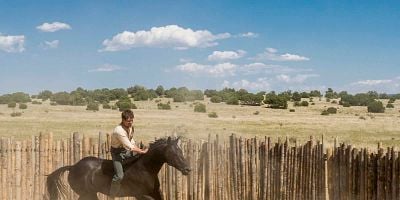 Pôster de Wisdom of the Horse