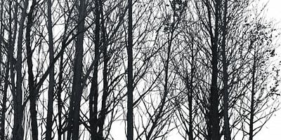 Pôster de Chapter Two : Lupus in Fabula