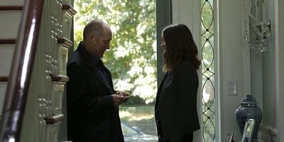 Pôster de The Endling