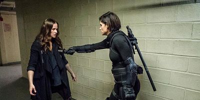 Pôster de Veritas Vincit