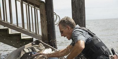 Pôster de Sins of the Father