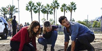 Pôster de Who Let the Dog Out ('Cause Now It's Stuck in a Cistern)