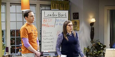 Pôster de The Matrimonial Metric