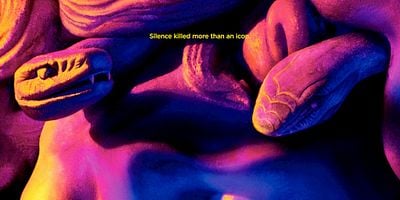 Pôster de The Man Who Would Be Vogue