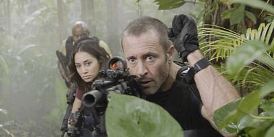 Pôster de He pūkoʻa kani ʻāina