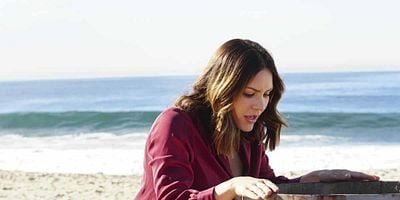 Pôster de Wave Goodbye