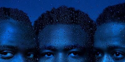 Pôster de The Streisand Effect