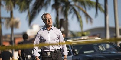 Pôster de Ask the Dust