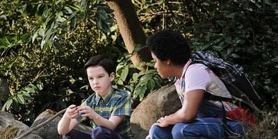 Pôster de Dolomite, Apple Slices, and a Mystery Woman