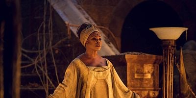 Pôster de Moon Rises, Raven Seeks