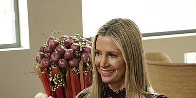 Pôster de CHiPs and Salsa