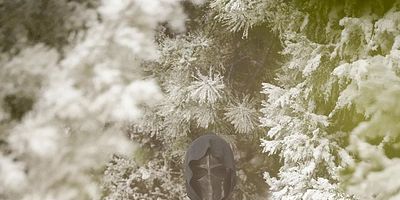 Pôster de The Honeymoon