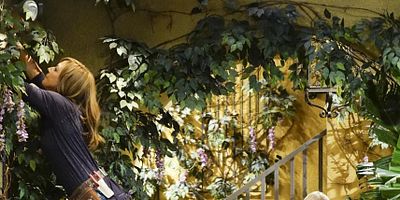 Pôster de A Taco Bowl and a Tubby Seamstress