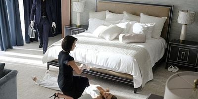 Pôster de Suite Revenge