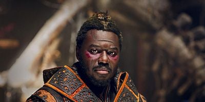 Pôster de Dragonfly's Last Dance