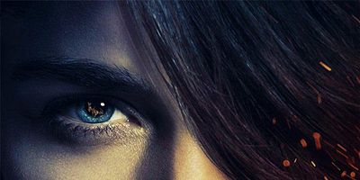 Pôster de The Other Woman