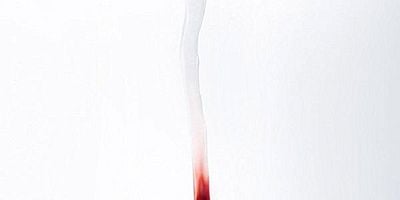 Pôster de La principessa delle piscine