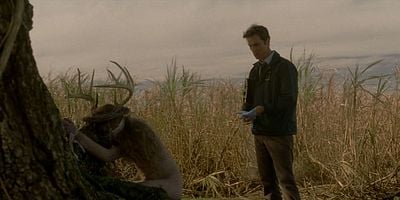 Pôster de The Long Bright Dark