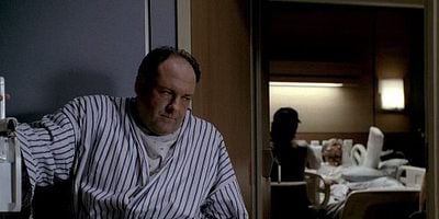 Pôster de The Fleshy Part of the Thigh