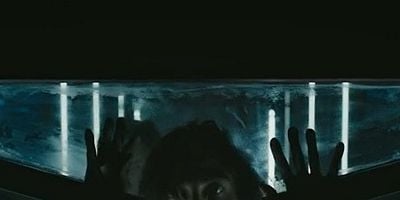 Pôster de The Road Not Taken