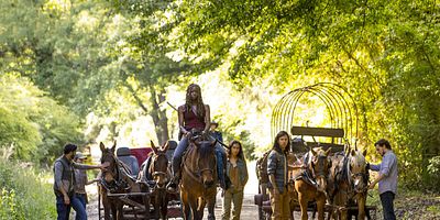 Pôster de A New Beginning