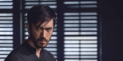 Pôster de The Itchy Onion