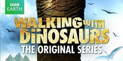 Pôster de Sangue Novo