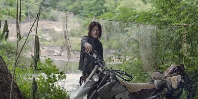 Pôster de Stradivarius