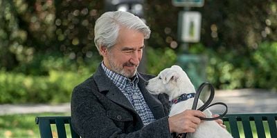 Pôster de A Farmácia