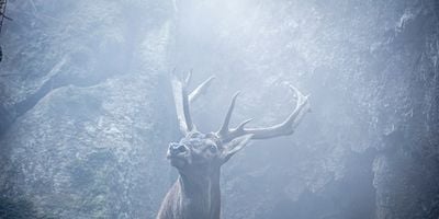 Pôster de Sanctuaire