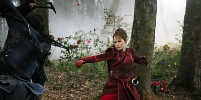 Pôster de Raven's Feather, Phoenix Blood