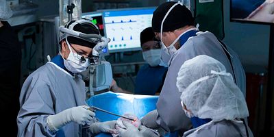 Pôster de Good Shepherd