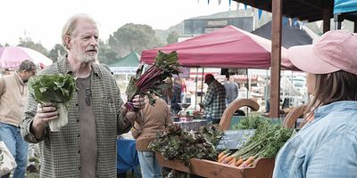 Pôster de In Hot Water