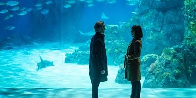 Pôster de The Belgian Turn!