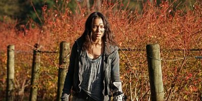 Pôster de The Old Man and the Anomaly