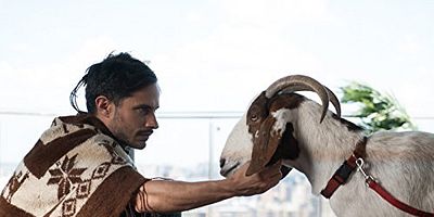 Pôster de Nothing Resonates Like Rhinoceros Foreskin