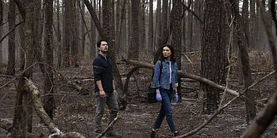 Pôster de Brilliant Disguise