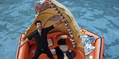 Pôster de Search and Rescue