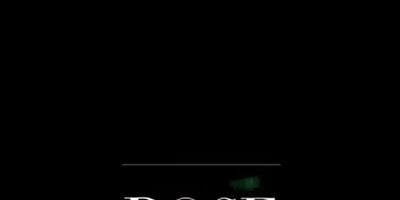 Pôster de Series Finale (Part II)