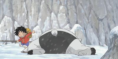 Pôster de Rufi Deshi-iri!? Kaizoku-Ō to Tatakatta Otoko!