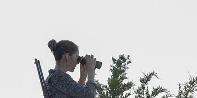 Pôster de Leave What You Don't