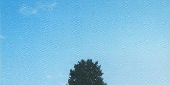 Pôster de Someone Else's Eyes