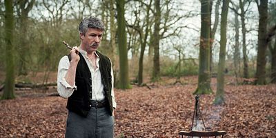 Pôster de Black Cats